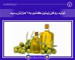 تولید روغن زیتون کشور به ۶ هزارتن رسید